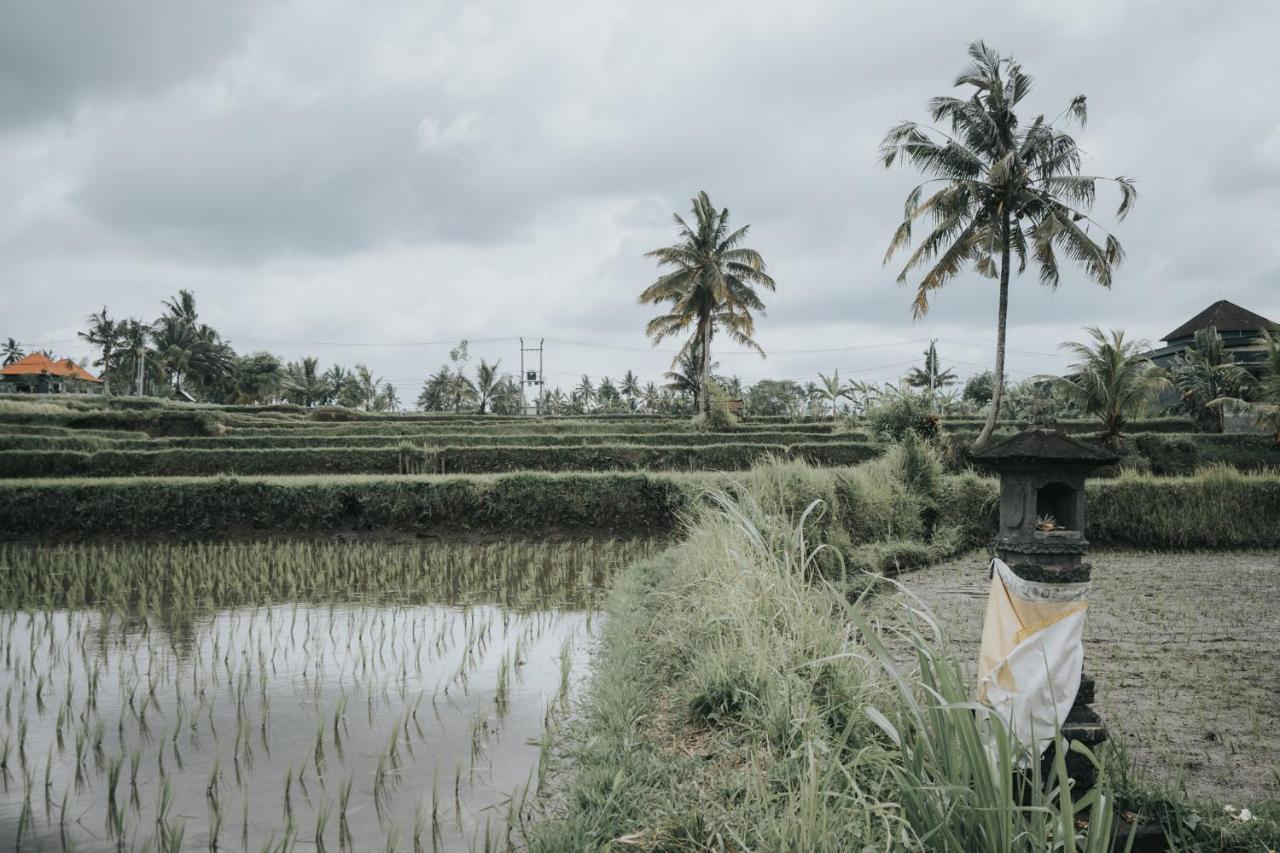 The Ning Resort Ubud Экстерьер фото